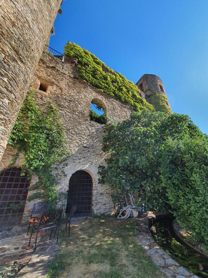 Chambre D'Hotes Au Chateau De Belcastel Belcastel  外观 照片